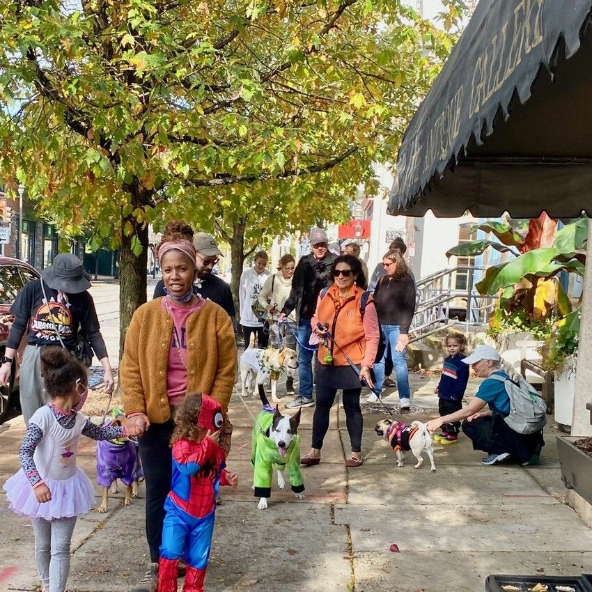 Area trick-or-treaters will have some Halloween costume competition Sunday, Oct. 27, when family pets of all kinds are invited to dress up for the annual Chestnut Hill Community Association Halloween Pet Parade on Germantown Avenue.