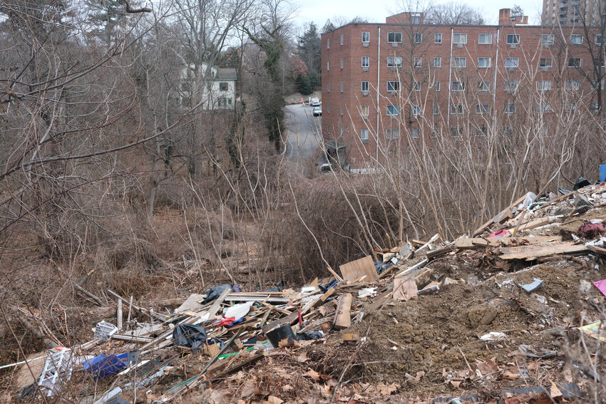 City officials say they plan to clean up this illegal dump site, which sits on Alden Park property behind Valley Greene condominiums in Germantown, but can&rsquo;t say when.