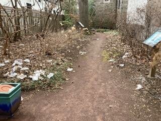 The garden surrounding the Chestnut Hill Library is cluttered with trash and debris, including human feces.