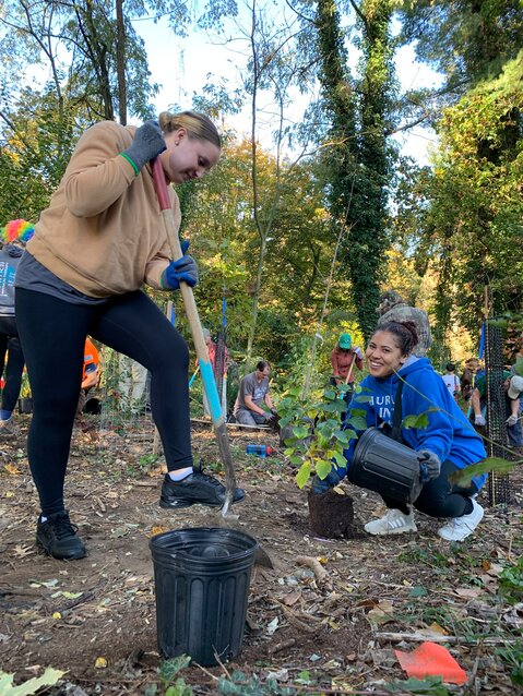 Friends of the Wissahickon volunteers regularly participate in planting in the park.