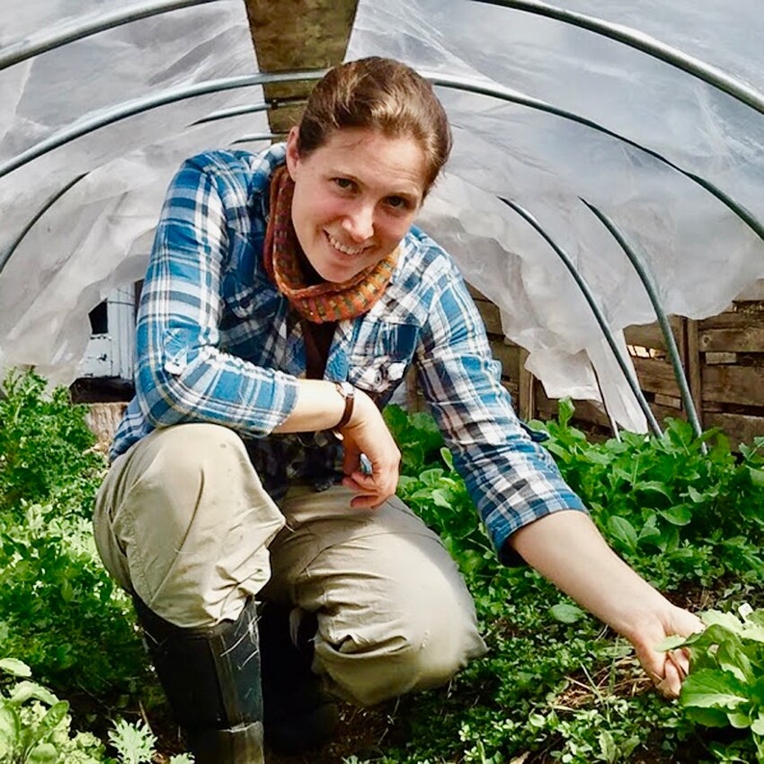 &ldquo;Soil nerd&rdquo; Allison Houghton will teach a Mt. Airy Learning Tree course, &ldquo;Spring  Foraging Fun in Mt. Airy.&rdquo;