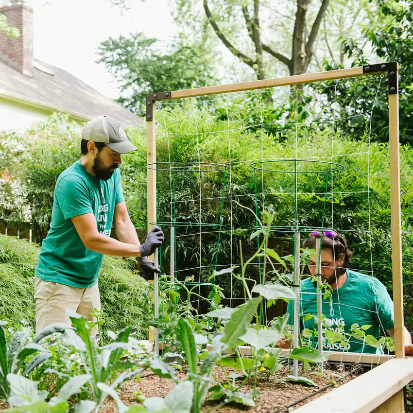 Backyard Eats sets up an edible garden at a Chestnut Hill home.