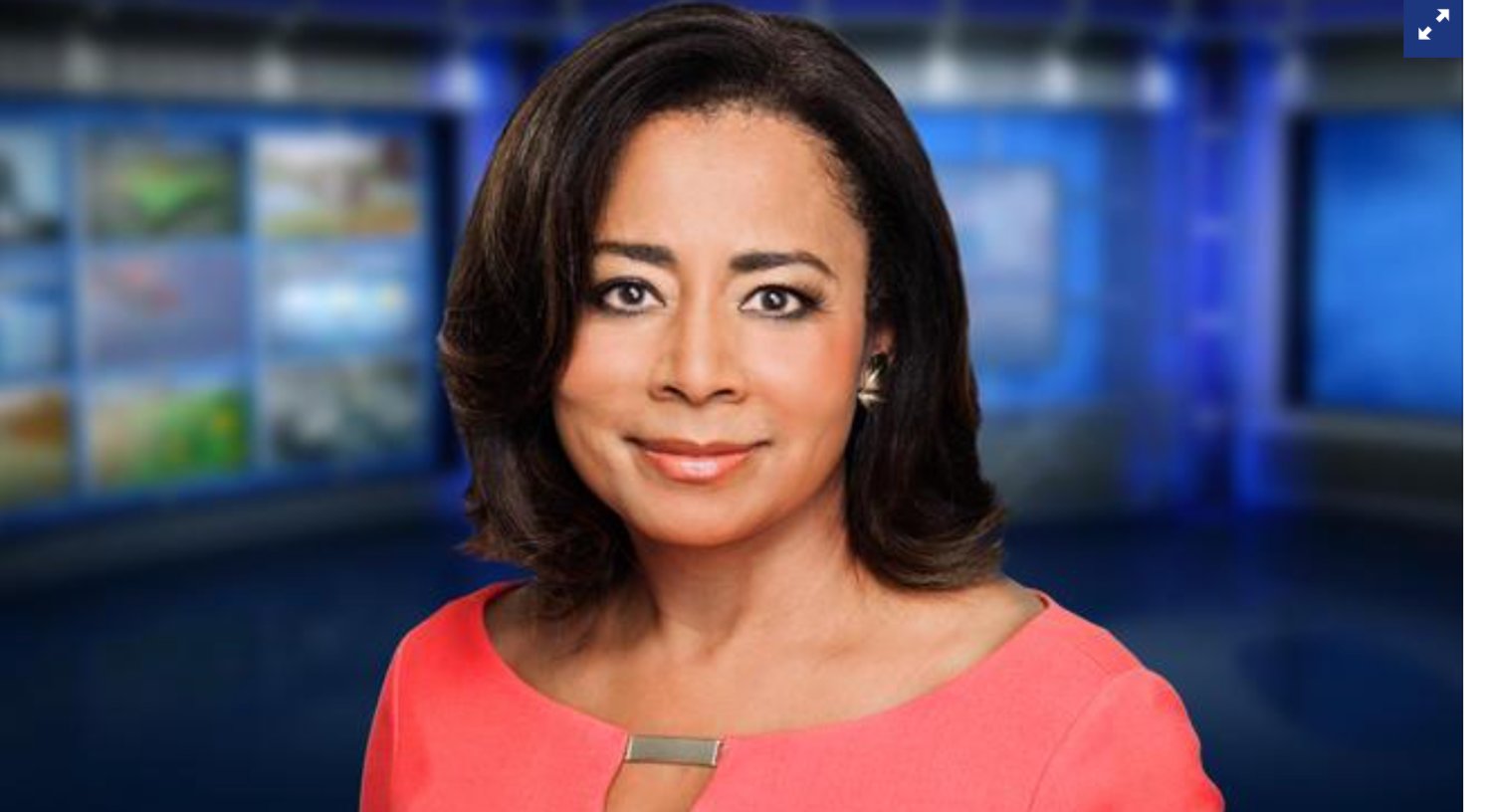 Renee Chenault-Fattah is a seasoned interviewer and reporter.