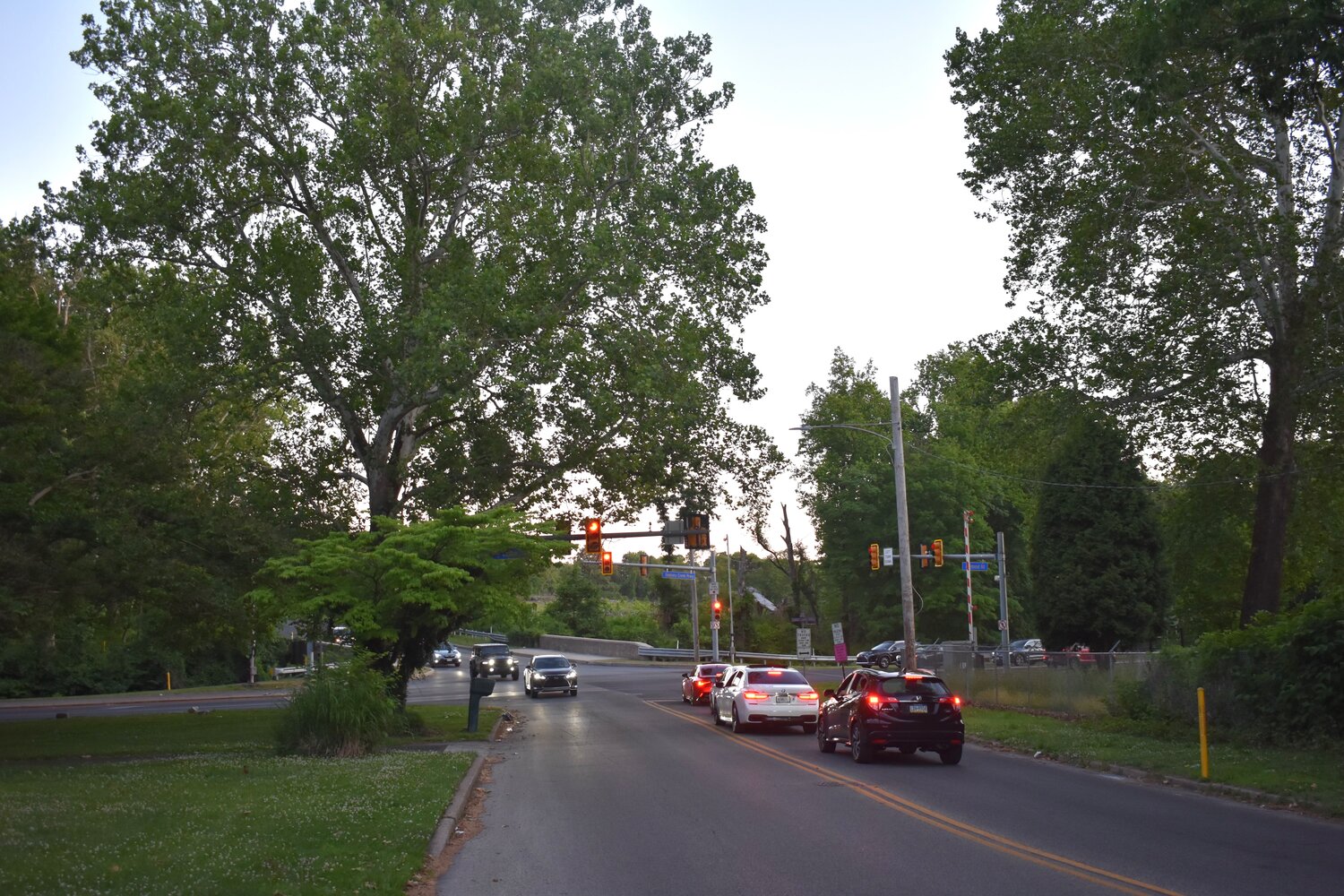 Cheltenham plans tree restorations at Tookany Creek - The Chestnut Hill Local