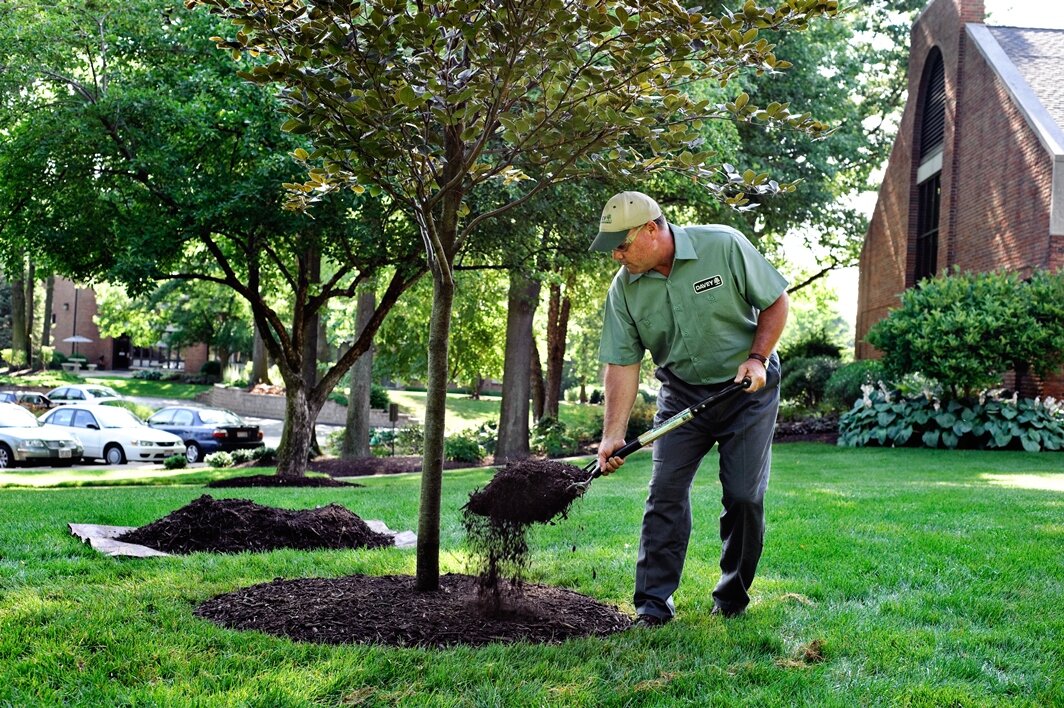 What homeowners should know amid peak tick season - The Chestnut Hill Local