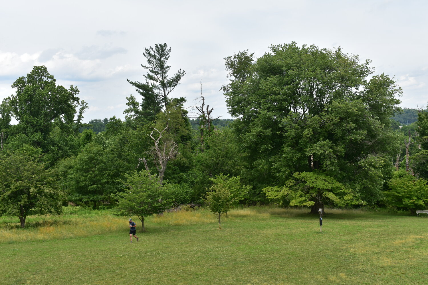 PA Senate bill sparks opposition from conservationists - The Chestnut Hill Local
