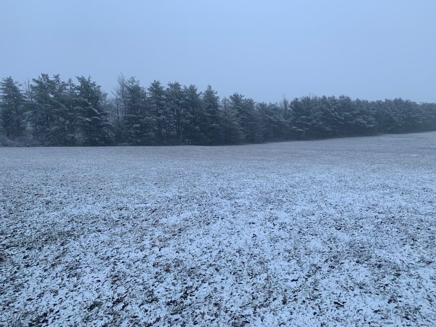 A LIGHT SNOWFALL covers a field and a line of evergreen trees in Ozark in January 2021.