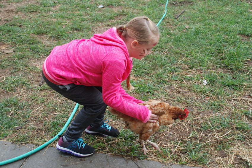 A student in a pink jacket chases after a chicken.&nbsp;