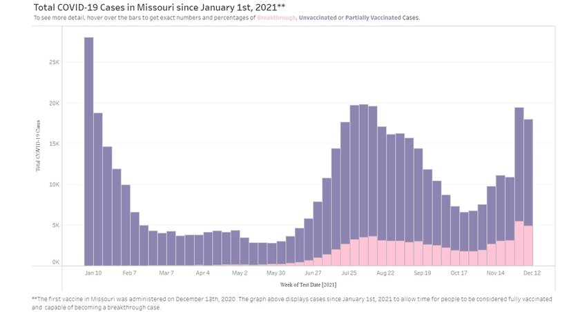 COVID IN A YEAR &mdash; A bar graph from the Missouri Department of Health and Senior Services shows the number of new COVID-19 cases documented in Missouri in 2021, beginning with January on the left and ending with December on the right. The darker shade indicates patients were not vaccinated against COVID, while the lighter-shaded bars show breakthrough cases among persons who had taken vaccinations.