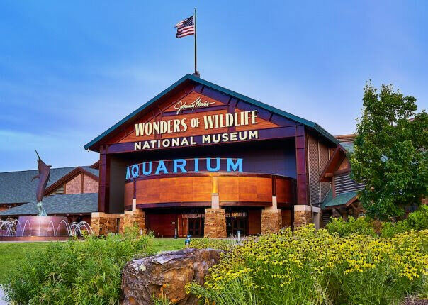 Wonders of Wildlife is a leading educational venue serving to pass on the conservation message to visitors of all ages.