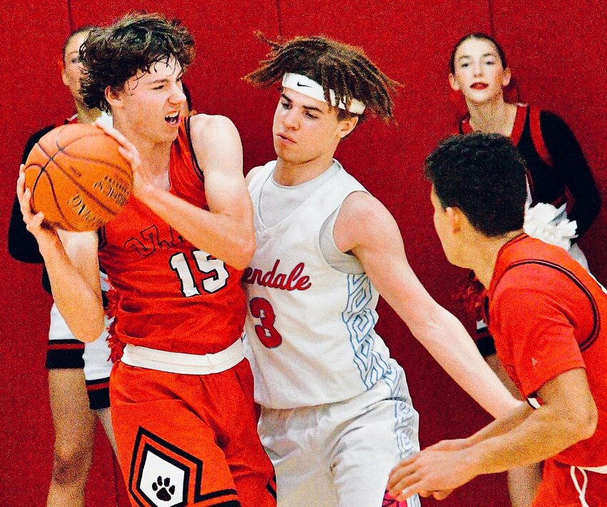 OZARK'S HUDSON ROBERTS and the Tigers lost in overtime at Glendale in January.