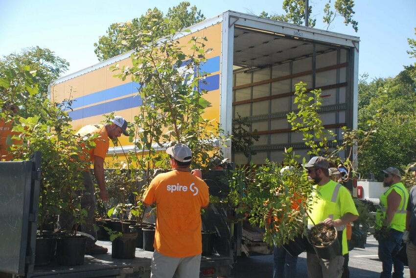 New trees for Ozark parks and surrounding areas were paid for by Spire’s grant to Forest ReLeaf.