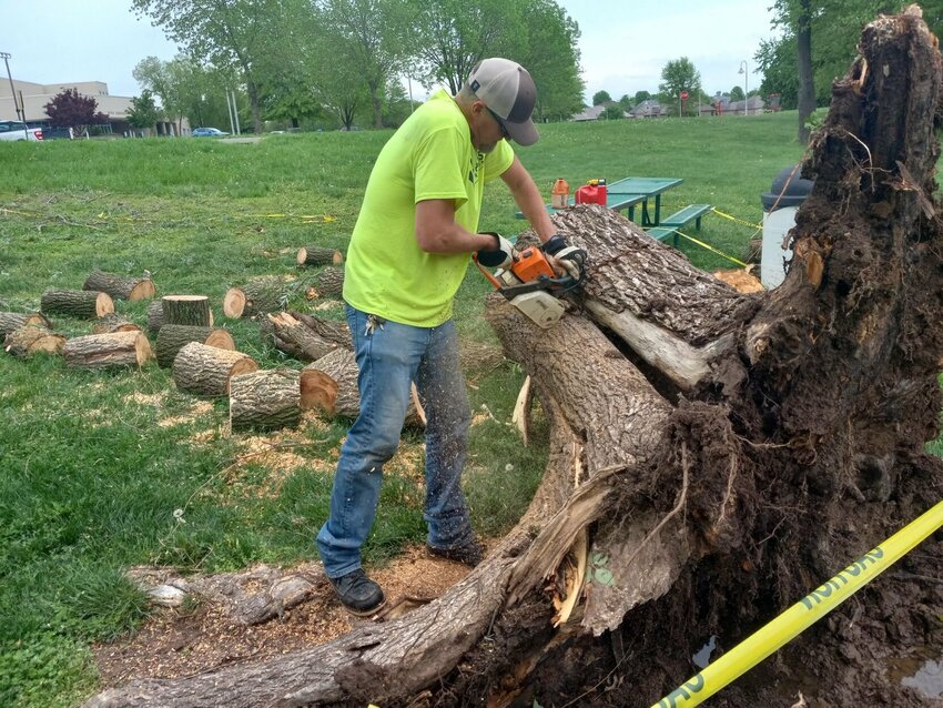 Seth Hamilton, a city maintenance worker, works to remove a fallen tree at McCauley Park. All photos by Steve Chapman.