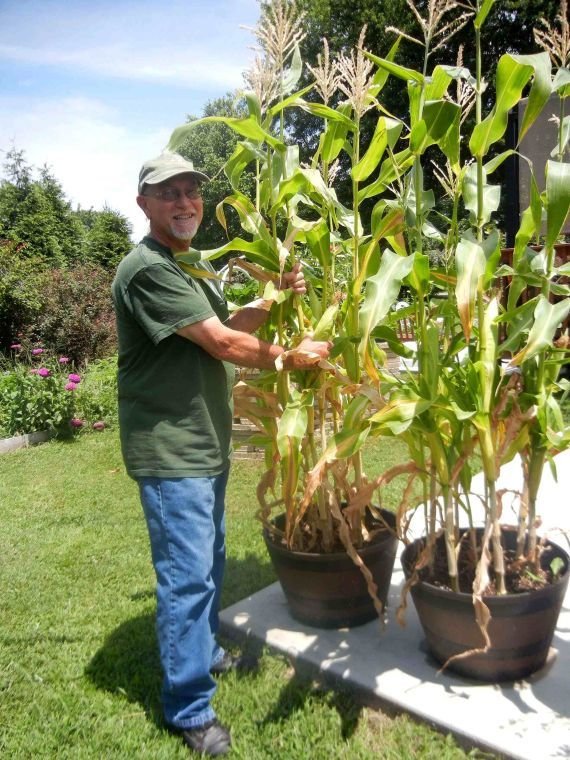 FRUIT AND GARDEN REVIEW: Container corn? | Christian County Headliner News