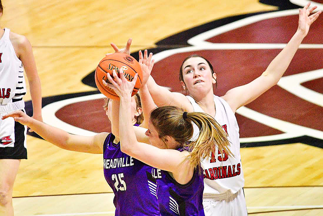 CHADWICK'S CHLOE BURKHART tries to poke the ball away from a Meadville player.