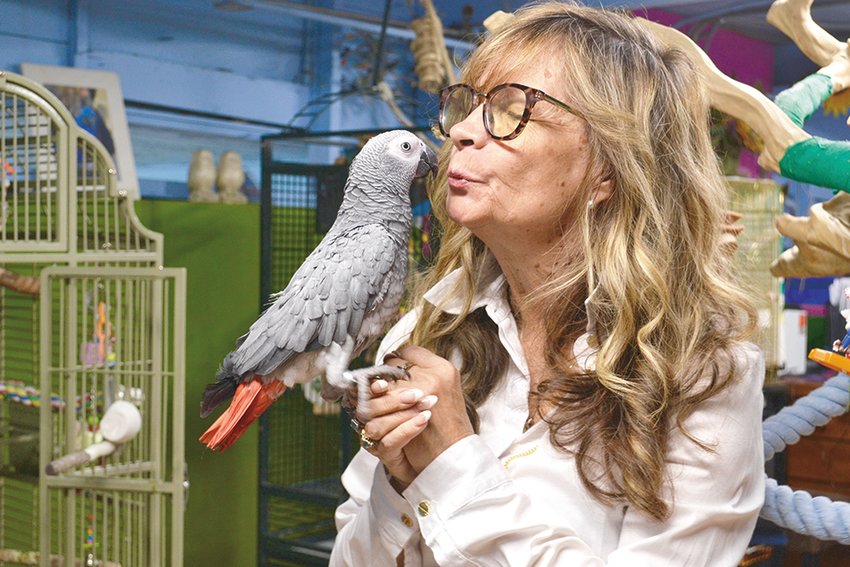 Debbie Preuss with her Congo African grey parrot.