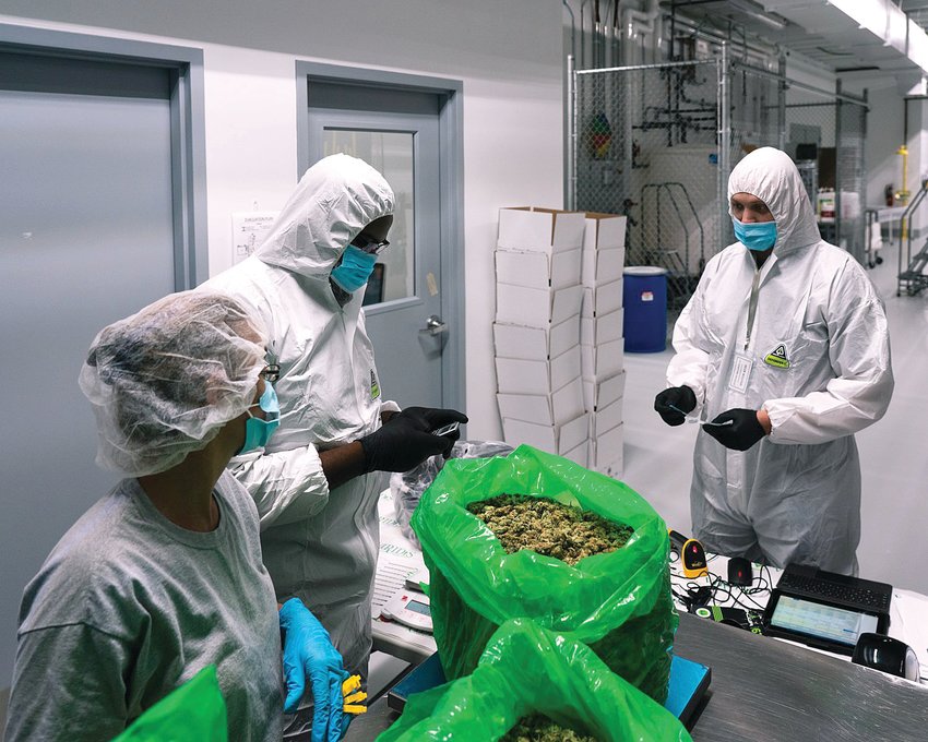 Between two facilities in Lansing and Bay City, staff at Viridis Laboratories provided testing services for the majority of the recreational and medical adult-use marijuana harvested in Michigan before the recent recall.