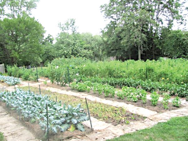 Urbandale Farms on the east side is among the largest of nearly 200 garden parcels the Land Bank's Garden Project has set up in the past 15 years.