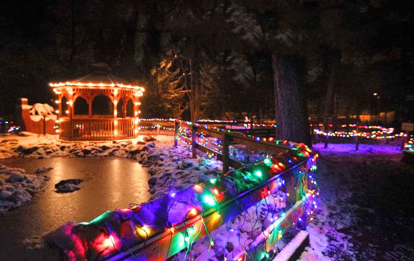 Wonderland of Lights is Potter Park Zoo's annual holiday event.