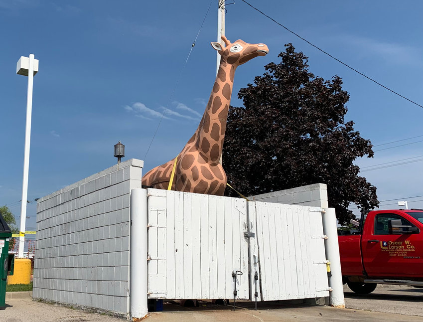 The giraffe statue that is typically perched on top of the Meijer gas station on Saginaw Highway.