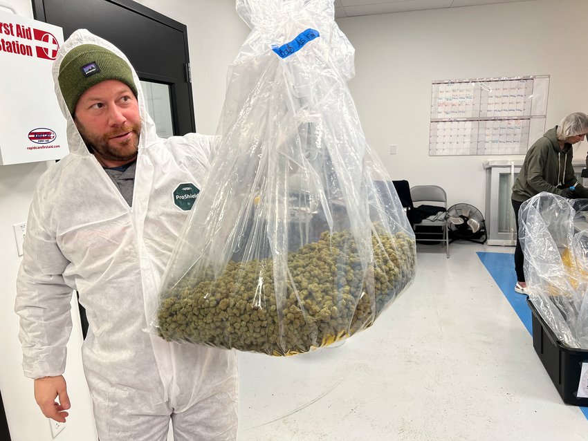 A large bag of cannabis produced in Lansing&rsquo;s so-called &ldquo;Terpene District.&rdquo;