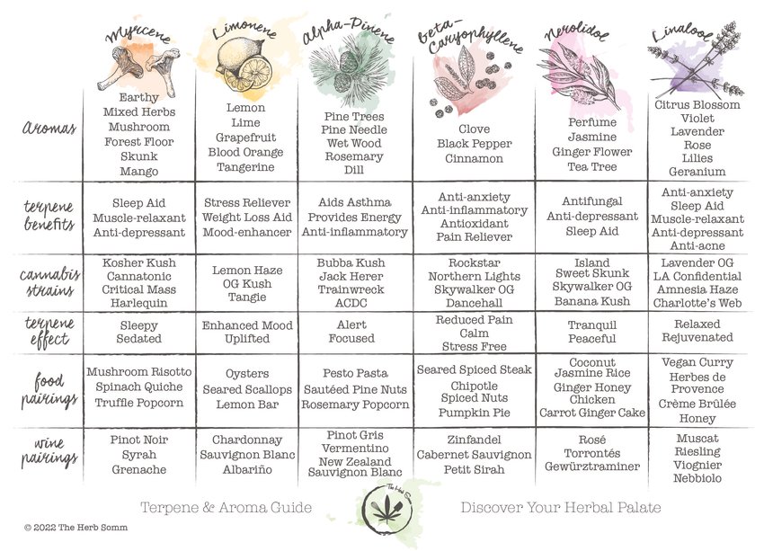 Jamie Evans created a pairing guide to help people &ldquo;discover the magical world of terpenes.&rdquo;