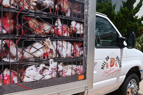 The People for Ethical Treatment of Animals will drive this truck around the Michigan Chicken Wing Festival at Adado Riverfront Park this weekend hoping to recruit new vegans.