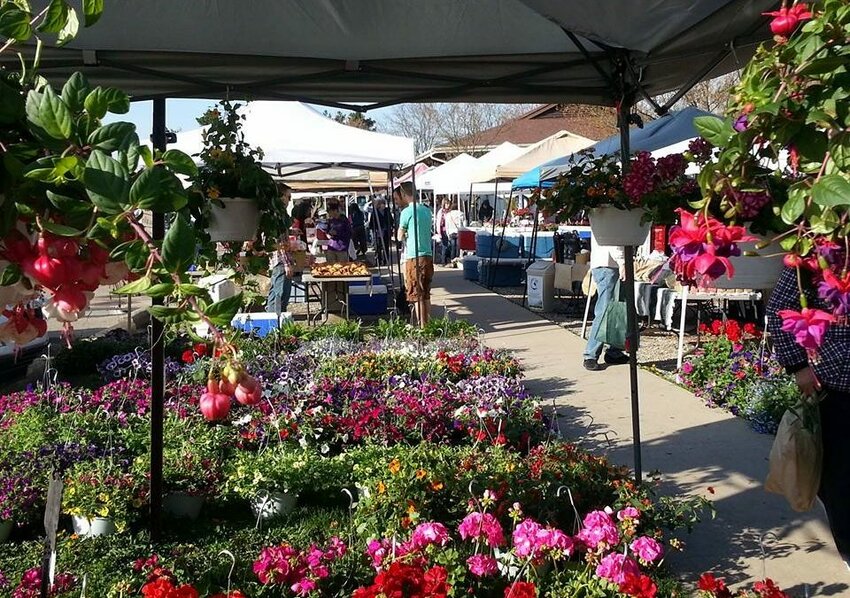 Soak up the sun while getting your grocery shopping done at the Meridian Township Farmers Market 8 a.m. to 2 p.m. Saturday or the Eastern Ingham Farmers Market 10 a.m. to 2 p.m. Sunday.