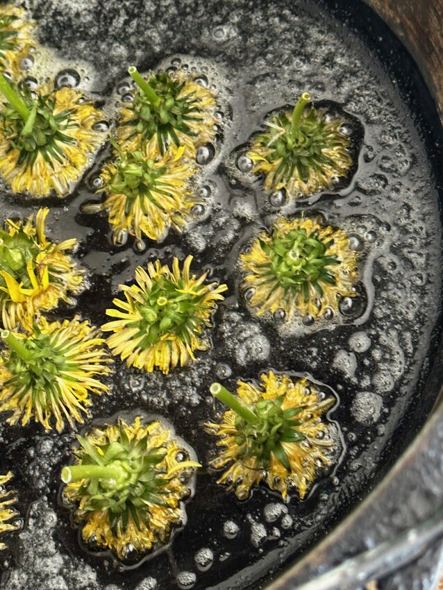 The whole dandelion plant is edible, from the sunny top to the deep taproot and everything in between. Fried in butter, oil or bacon, the flowers are reminiscent of artichokes.