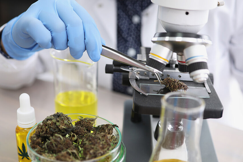 The Michigan Cannabis Regulatory Agency is looking to establish a cannabis testing facility, which would act as a reference lab to help ensure products&rsquo; THC levels are accurately represented.