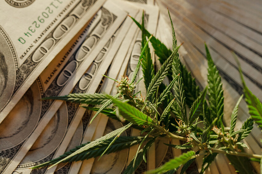 As cannabis retailers race to the bottom on both quality and pricing, insiders are starting to question whether state minimum pricing would benefit the market as it has with alcohol.