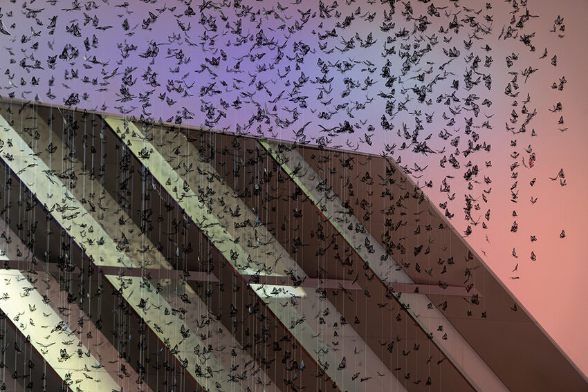 Upon walking into the MSU Broad Art Museum&rsquo;s Minskoff Gallery, thousands of jet-black monarch butterflies, each one etched in fine detail, swarm above your head. The exhibition, &ldquo;Complex Dreams,&rdquo; Opens Sept. 13.