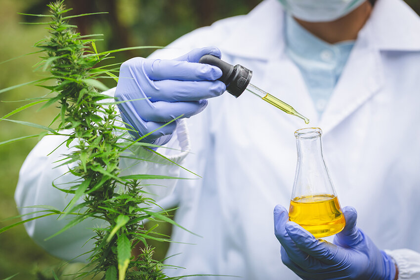 Tinnakorn jorruang/Shutterstock 
The effort to ban CBD conversion oil in the legal cannabis industry is turning into the industry’s most brutal civil war yet. The conflict is raging in every major legal cannabis market, pitting regulators and consumers alike against the heavy lobbying power of the hemp and vape industries.