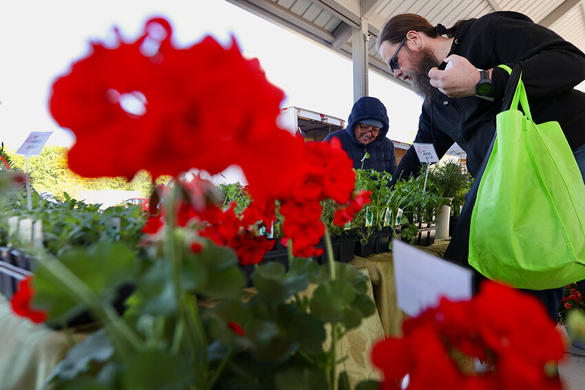 Siso Dhladhla for City Pulse
A shopper peruses the Williamston Florist booth at the Meridian Township Farmers Market.