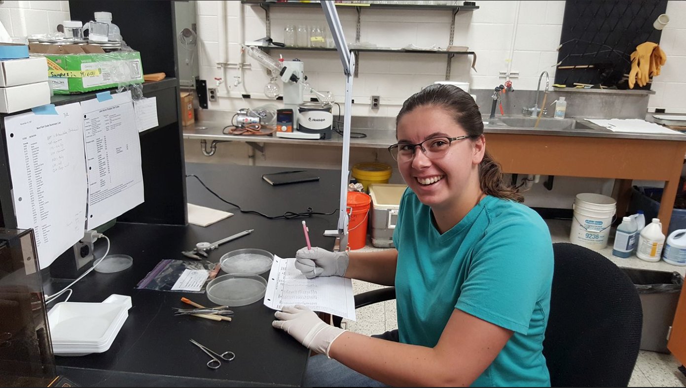 Graduate student Katie Kierczynski analyzing fish stomach content data.