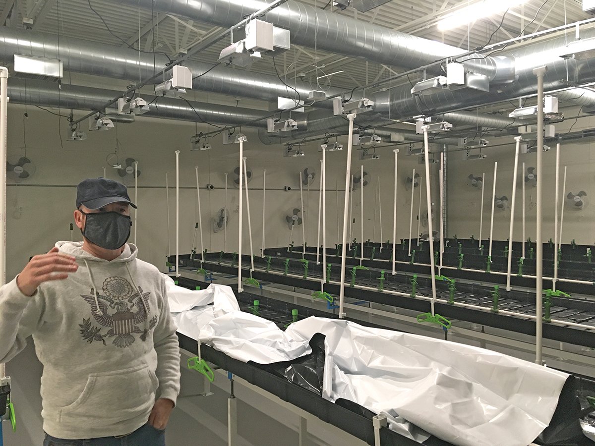 Iliad Epic Grow founder Richard Ruzich shows the business’s flowering room, where up to 700 marijuana plants will finish the growing process. The plants will be in the room for six to eight weeks and receiving light 12 hours a day.