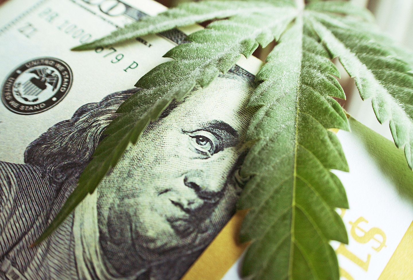 Money With Marijuana Leaf Close Up High Quality