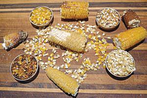 Delicious fresh corn-based dishes cooked by Ari LeVaux.