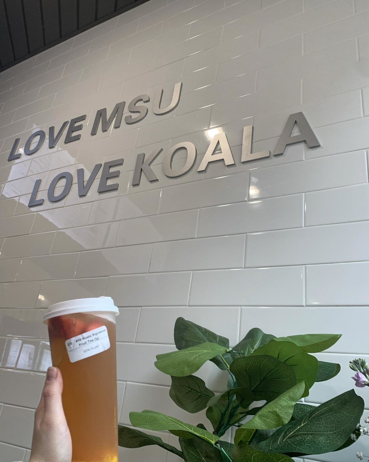 Koala Tea & Coffee opened up in March and serves a variety of teas and sweets.