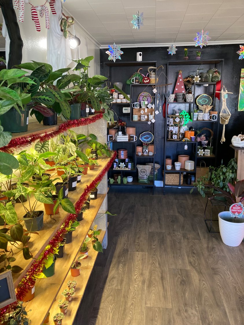Odd Mama’s carries an array of houseplants, pots and planters, macramé, plant accessories, plant-related gifts and locally made trinkets.