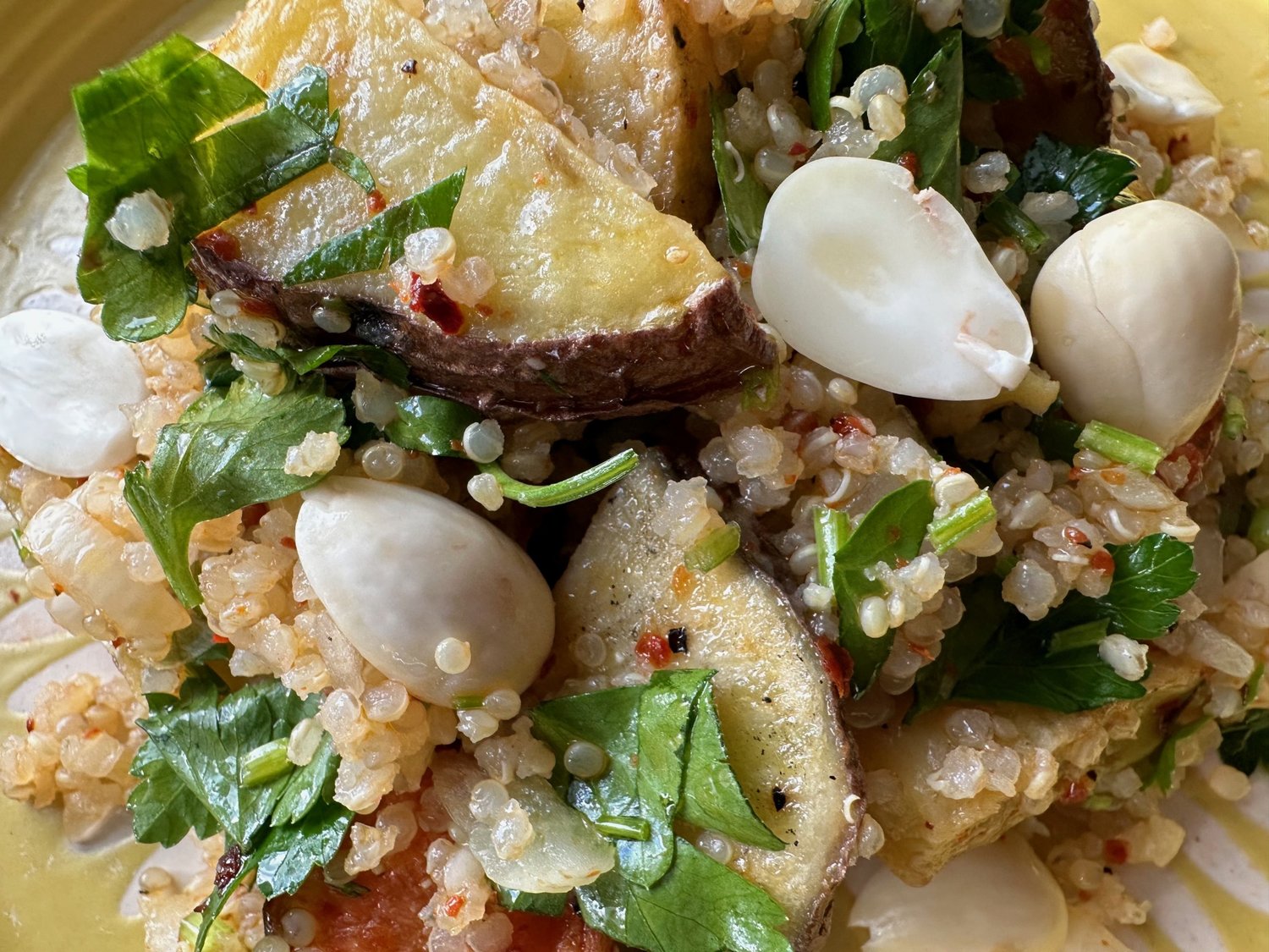 Sprouted quinoa, which has a cleaner, more flavorful taste than its unsprouted counterpart, fits perfectly in an elevated potato salad.