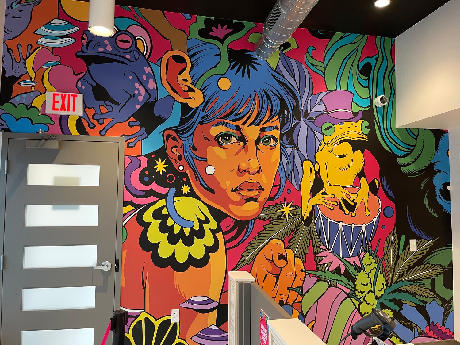 The inside of Sapura, a new dispensary on Dunckel Road, features a large, trippy mural by the Brazilian illustrator and muralist duo Bicicleta Sem Freio (“Bicycle Without Brake”).