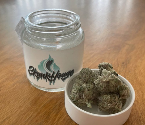 Skunk House Genetics and ProGro recently collaborated on a new line of products that includes two flower strains: Modified Banana, an indica-dominant hybrid, and TKO, a pure hybrid.