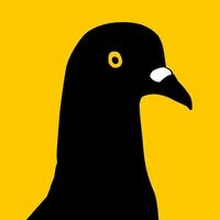 THE CITY is now The City Reporter