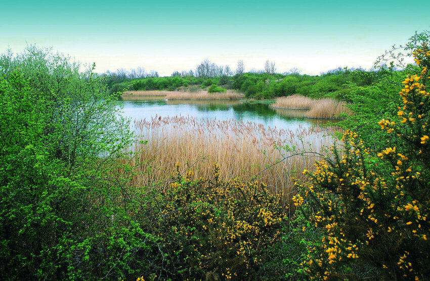 Calvert Jubilee Nature Reserve, Buckinghamshire - Photo Credit: Jim Asher