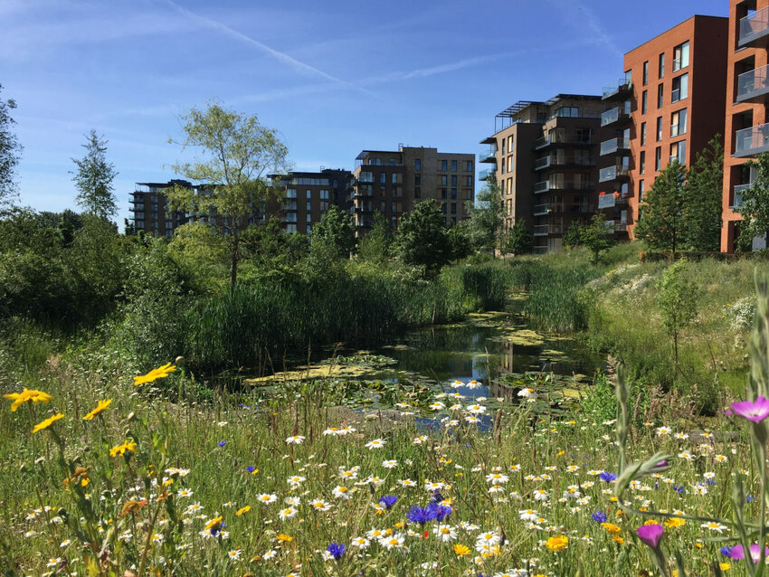 Kidbrooke Village - Photo: London Wildlife Trust