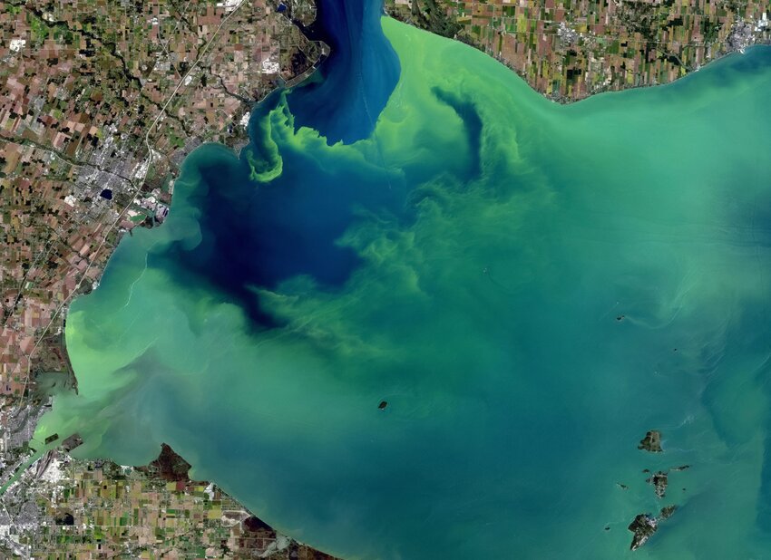 Landsat satellites captured this image of Lake Erie during a harmful algal bloom event. 