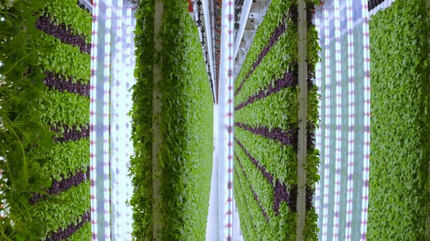 Walmart Plenty Vertical Farm