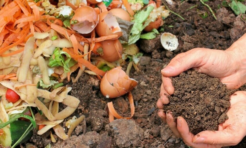 Compostable Packaging