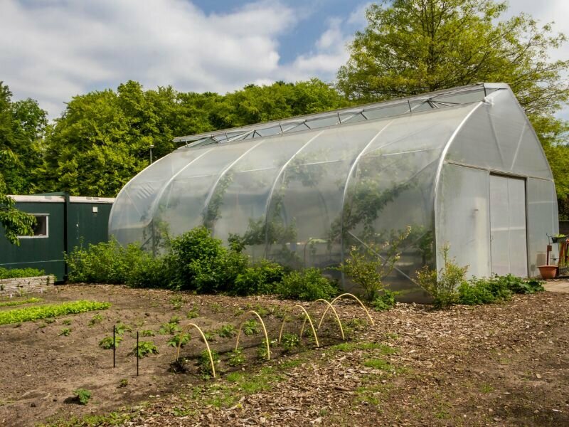 A greenhouse for urban agriculture in the center of a city